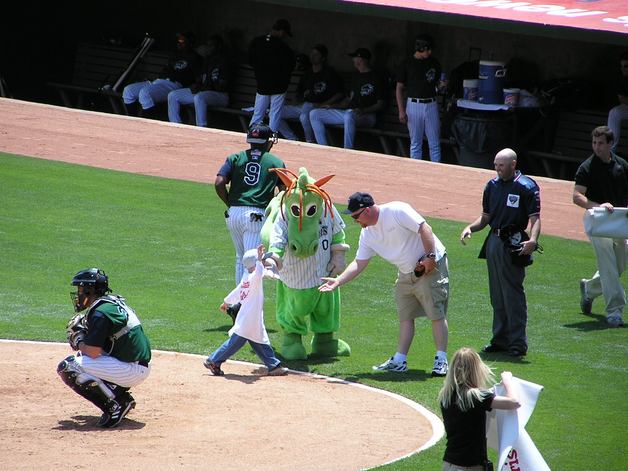 Homer the Knights Mascot - Knights Stadium